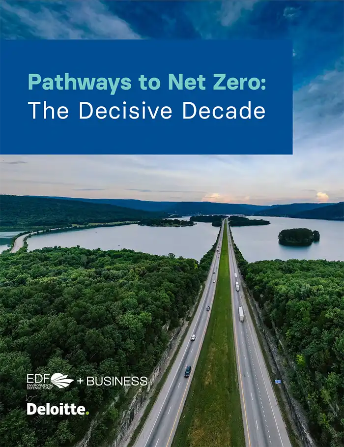 Report cover for Pathways to Net Zero - The decisive decade