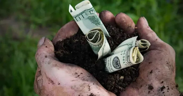 Financial Innovations to Accelerate Sustainable Agriculture