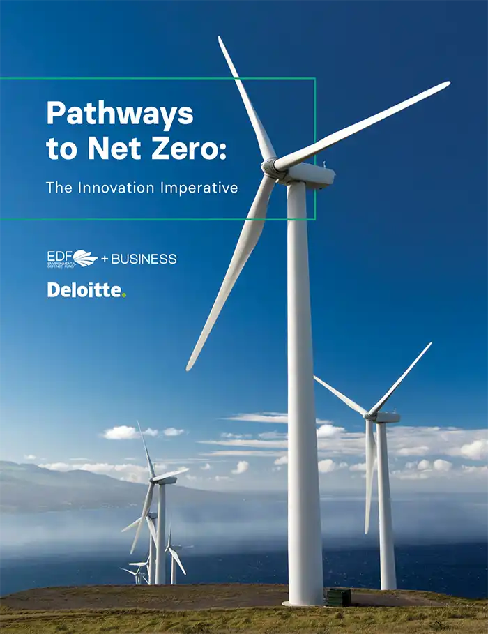 Report cover for Pathways to Net Zero: The innovation imperative