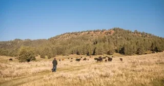 April Martin, TP Ranch, Montana