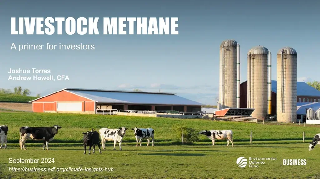 Livestock Methane: A primer for investors