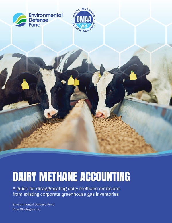 Dairy Methane Accounting cover