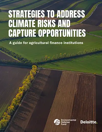 Cover for "Strategies to Address Climate Risks and Capture Opportunities"