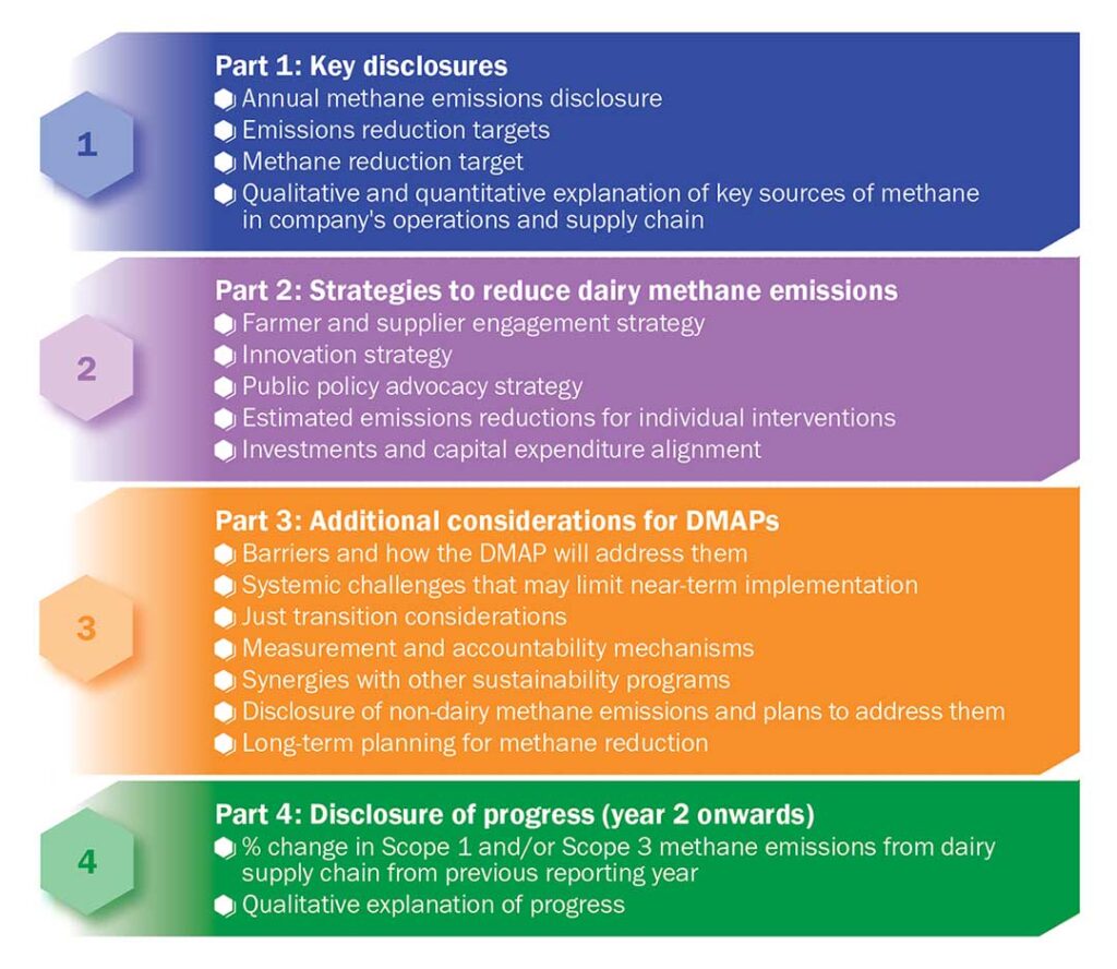 Key components of a robust action plan