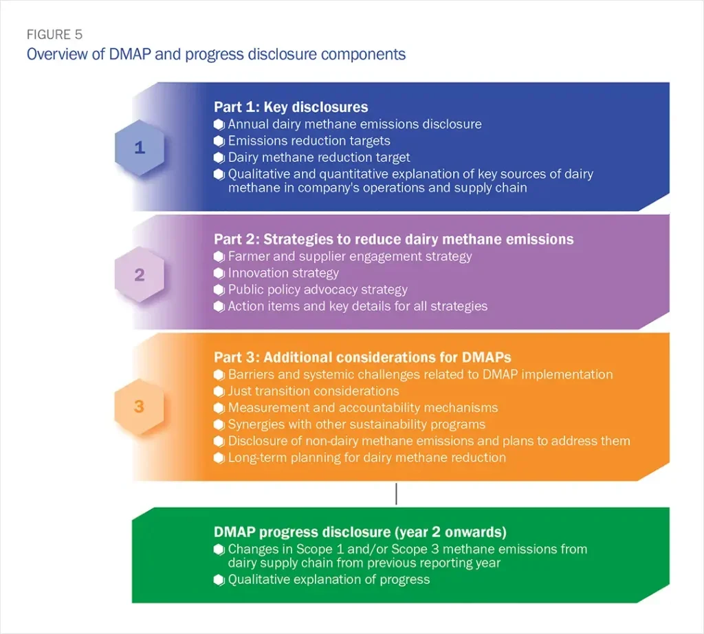 Figure 5 - Overview of DMAP and progress disclosure components