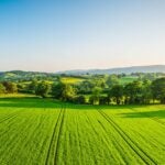 sustainable agriculture
