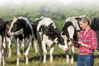 Dairy methane stakeholder engagement