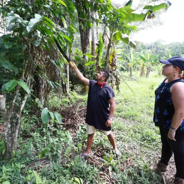 Indigenous communities in the tropical nation of Ecuador