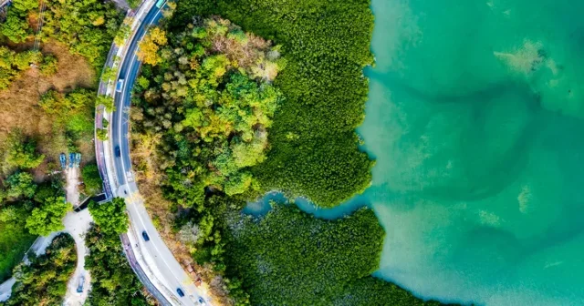 Net zero, corporate climate leadership