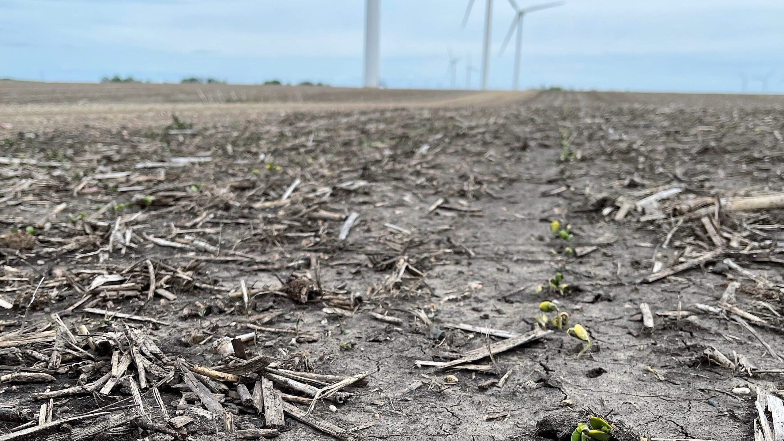 David Iverson uses no-till on his farm operation, photo credit by Cody Senn