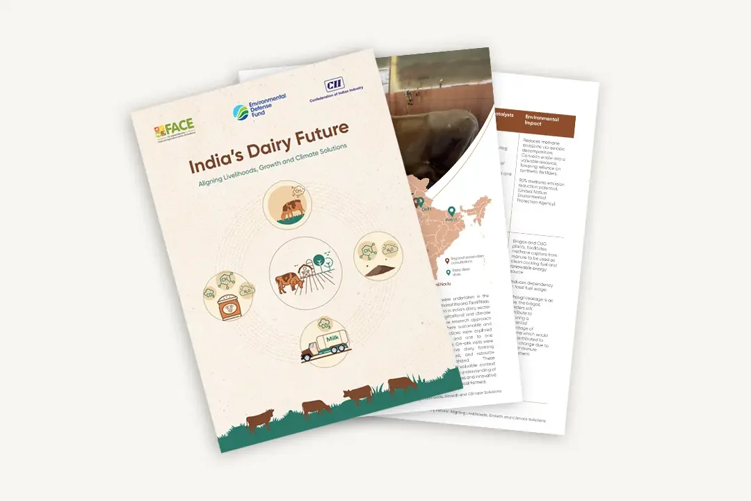 Report India's Dairy Future
