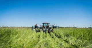Indiana farmer plants corn into his cover crops