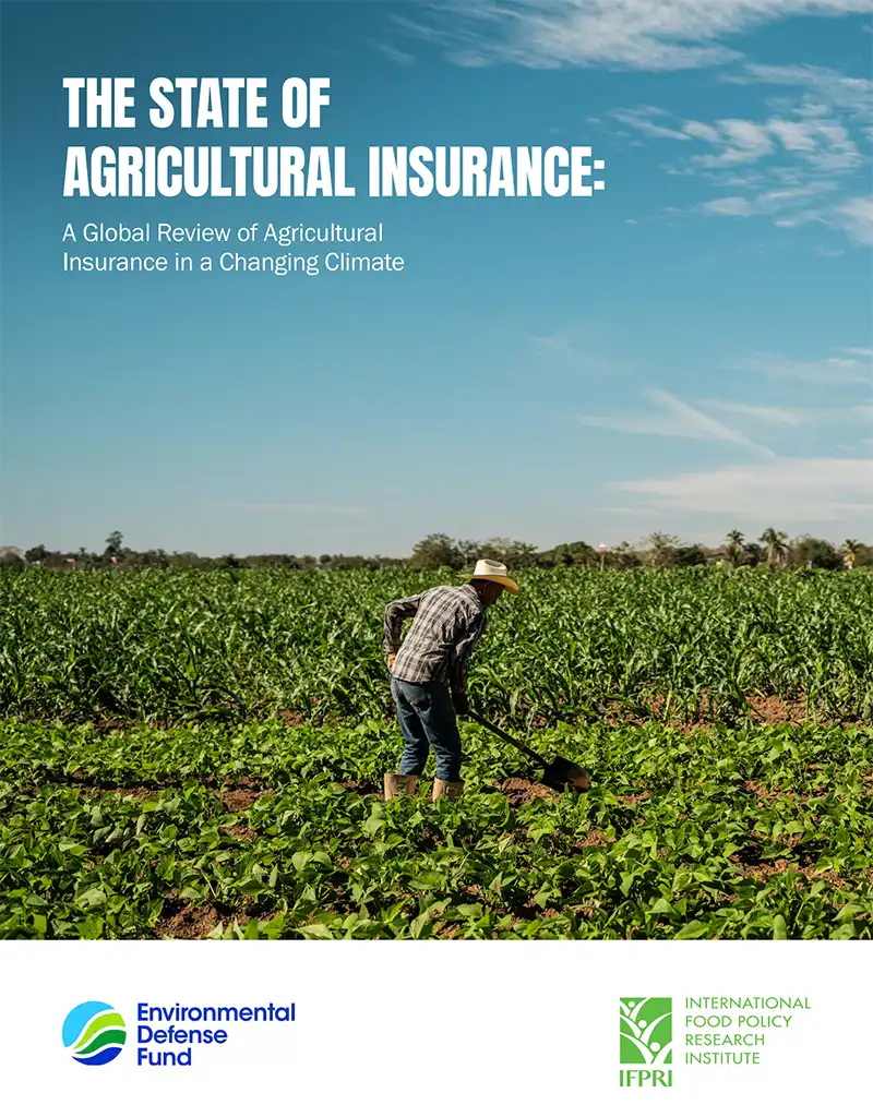 Report cover for "The state of agricultural insurance"