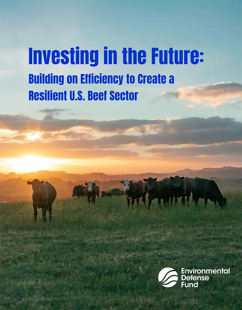 Report cover for "Investing in the Future - Building on Efficiency to Create a Resilient US"