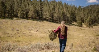 TP Ranch in Montana