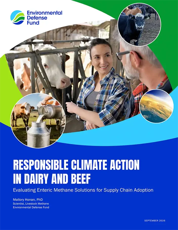 Report cover Responsible Climate Action in Dairy and Beef