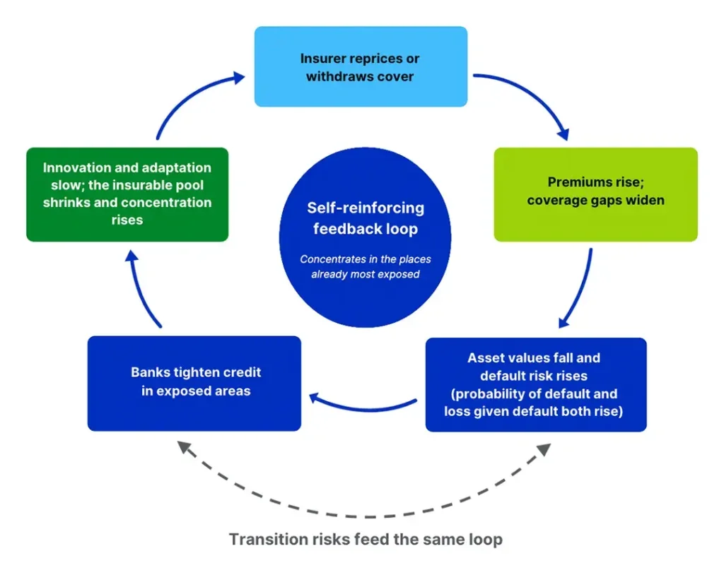 Figure 3 - The self-reinforcing feedback loop between insurance retreat and credit tightening​