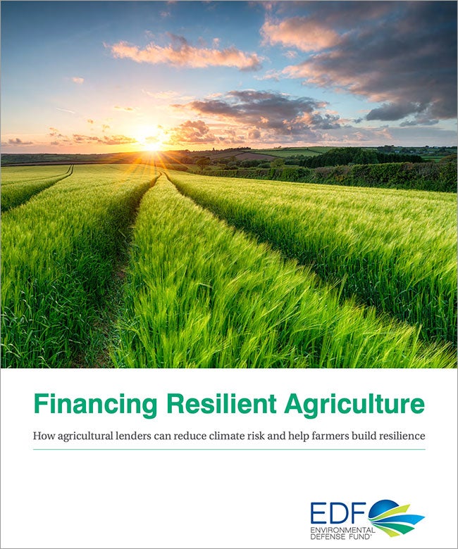 How agricultural lenders can boost climate resilience - EDF+Business
