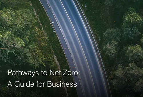 Pathways to Net Zero: A Guide for Business