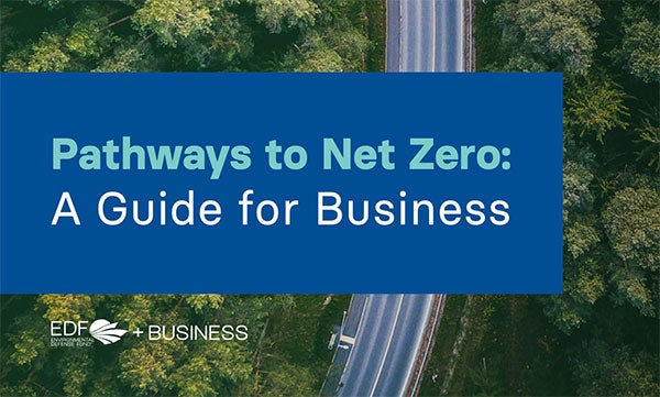 2020: The Year Of Net Zero Talk. 2021: The Year Of Action - EDF+Business