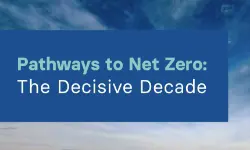 Pathways to Net Zero Report