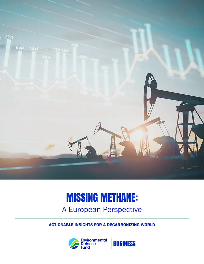 Missing Methane: A European Perspective report cover