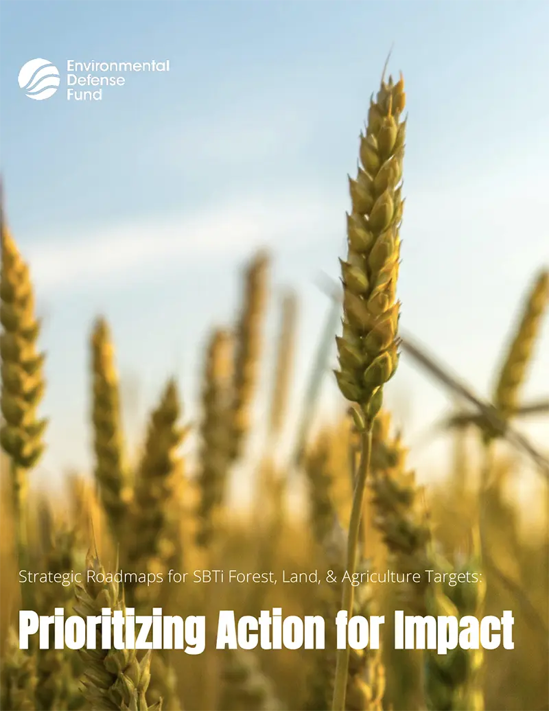 Prioritizing Action for Impact cover