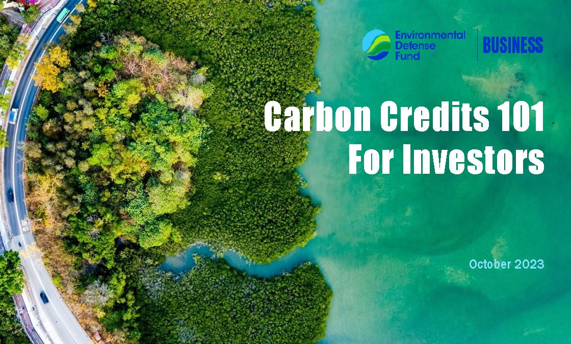 Carbon Credits 101 For Investors EDF Business   Carbon Credits 101 For Investors Cover 