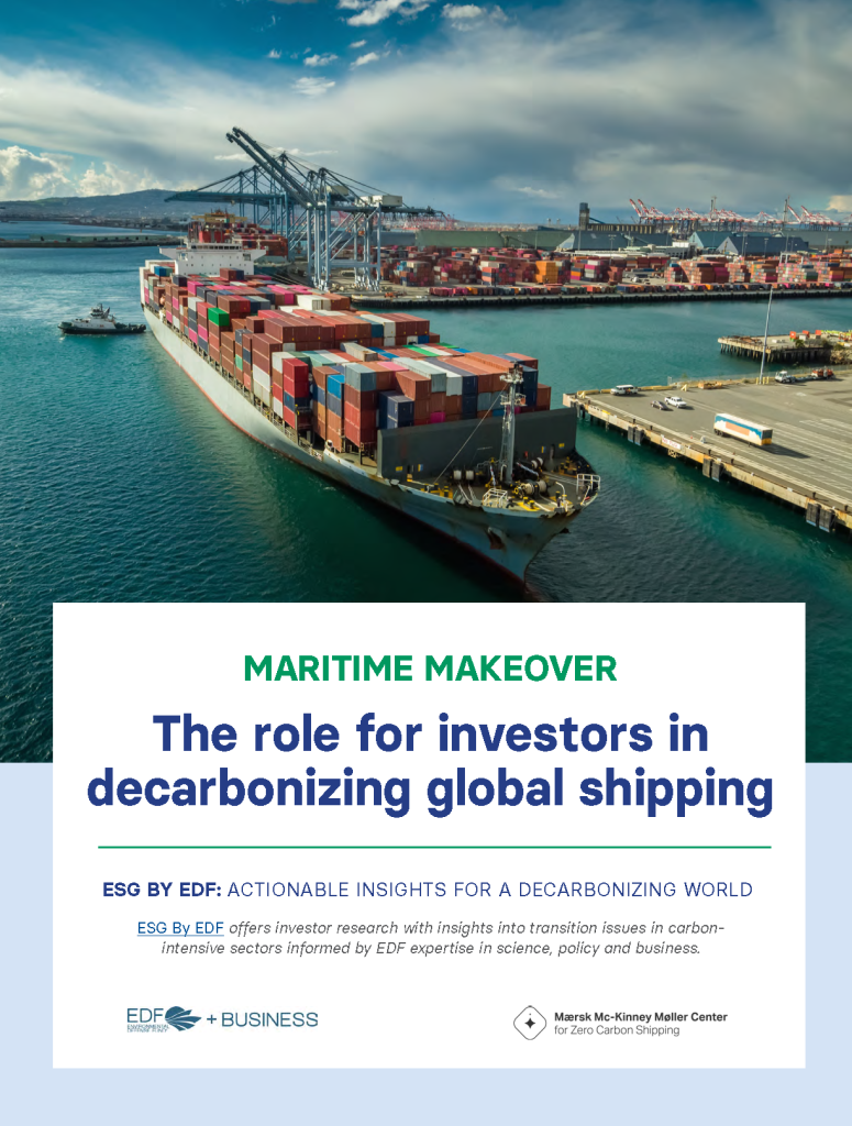 Maritime Makeover: The Role for Investors in Decarbonizing Global ...