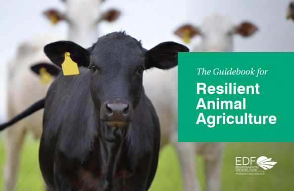 The guidebook for resilient animal agriculture - EDF+Business